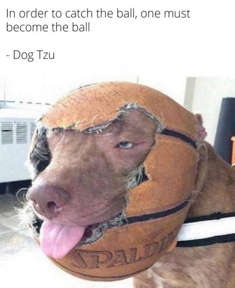 Gewoon een verzameling hilarische foto's #1532