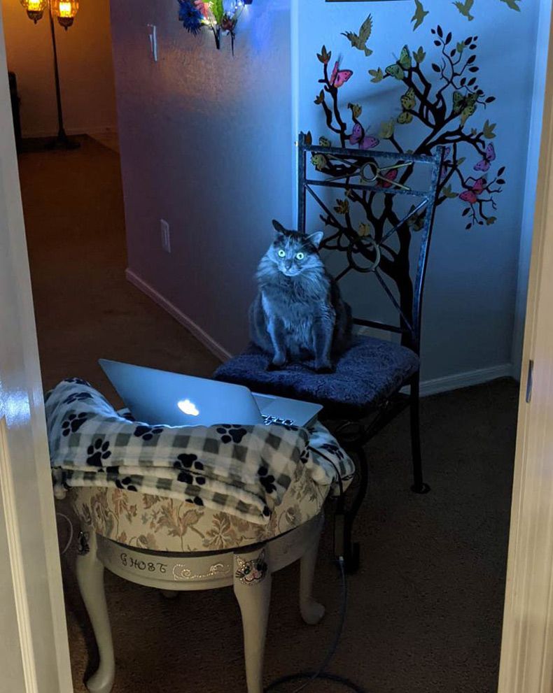 Gewoon een verzameling hilarische foto's #1532