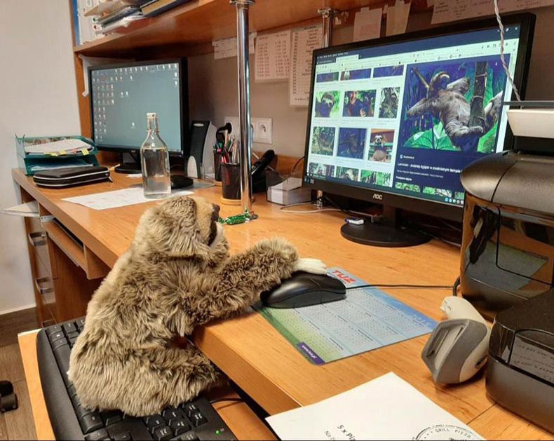 Gewoon een verzameling hilarische foto's #1532