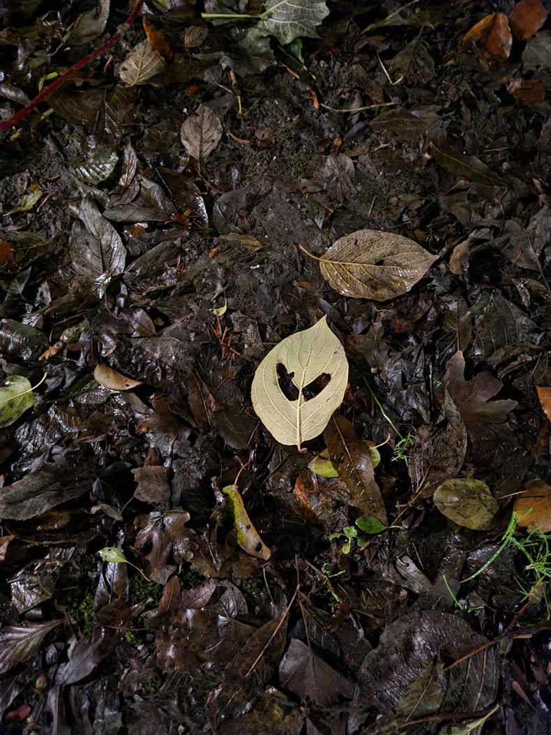Gewoon een verzameling hilarische foto's #1532