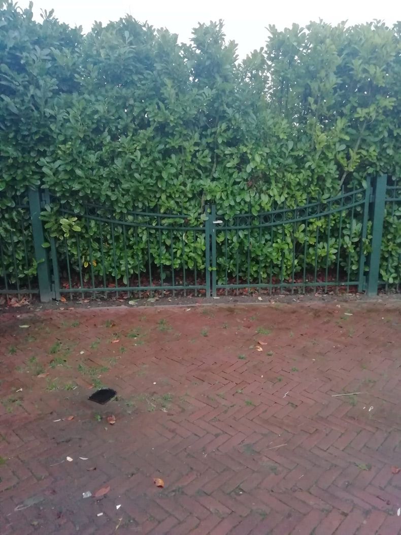 Gewoon een verzameling hilarische foto's #1532