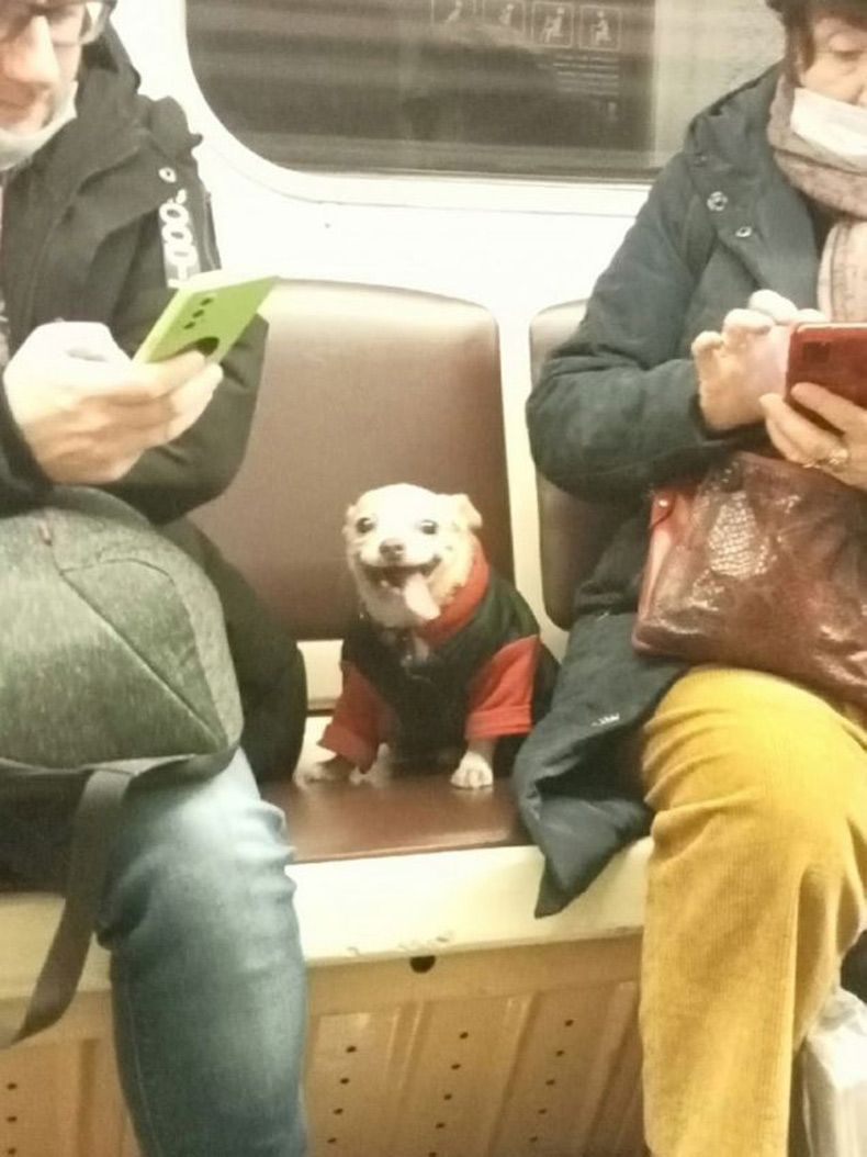 Gewoon een verzameling hilarische foto's #1533