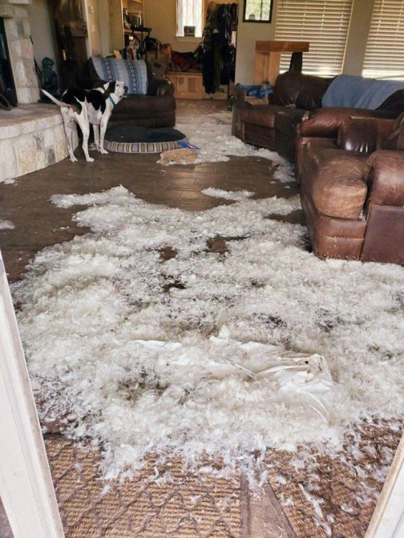 Gewoon een verzameling hilarische foto's #1533