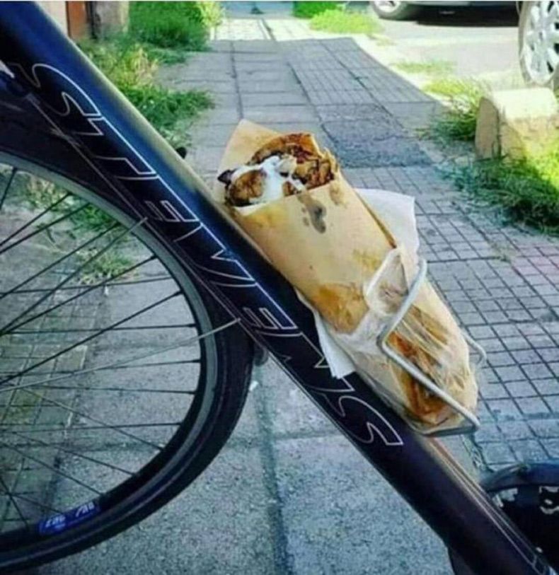 Gewoon een verzameling hilarische foto's #1533