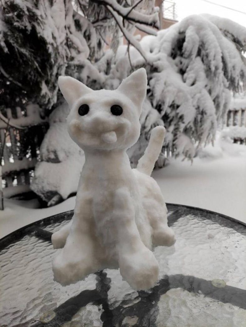 Gewoon een verzameling hilarische foto's #1533