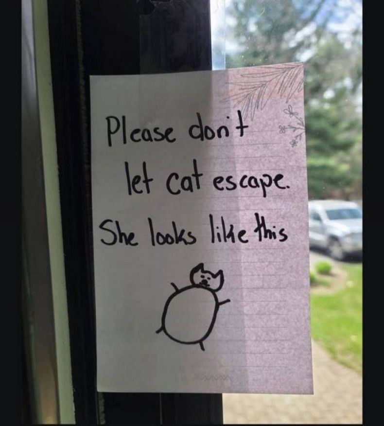 Gewoon een verzameling hilarische foto's #1533