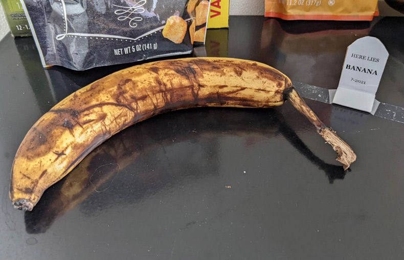 Gewoon een verzameling hilarische foto's #1533