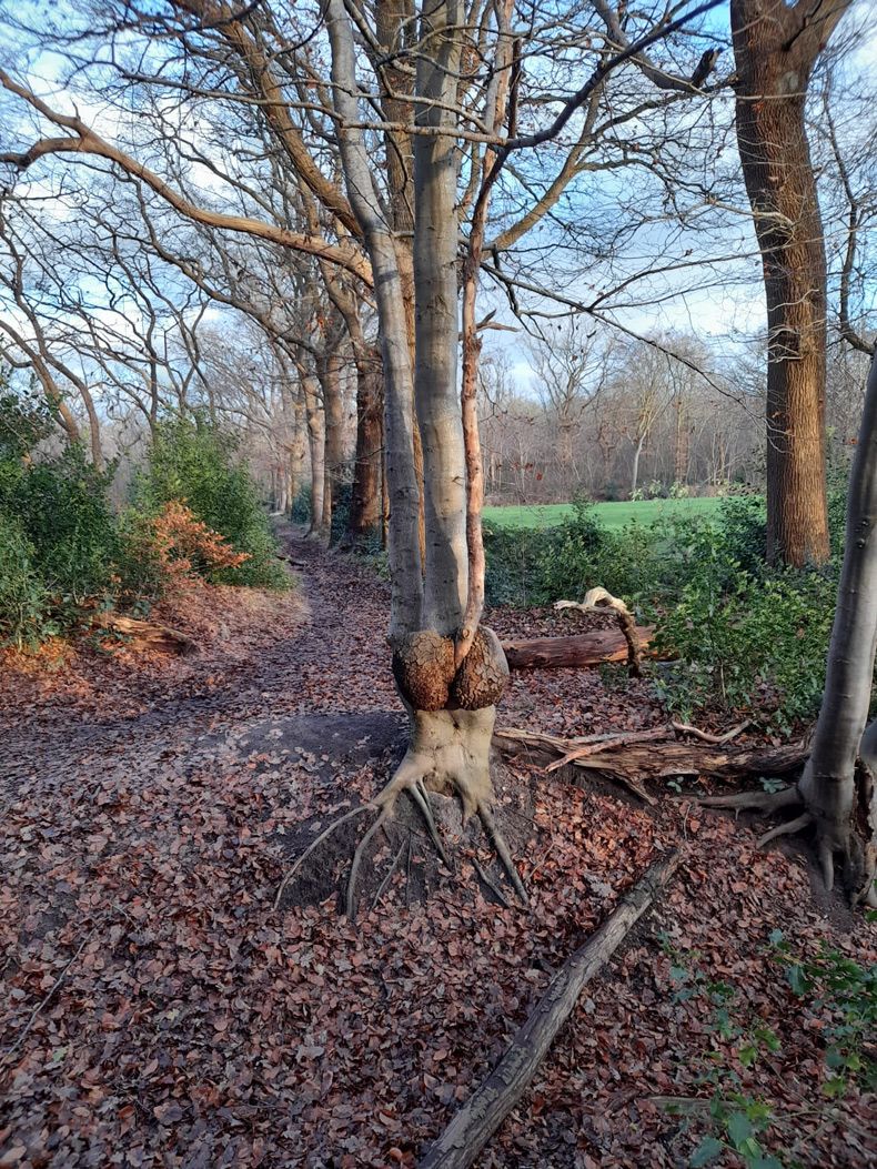 Gewoon een verzameling hilarische foto's #1533