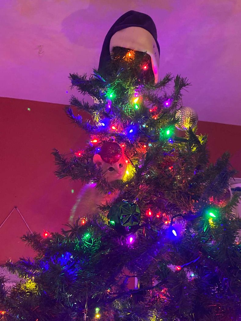 Gewoon een verzameling hilarische foto's #1533