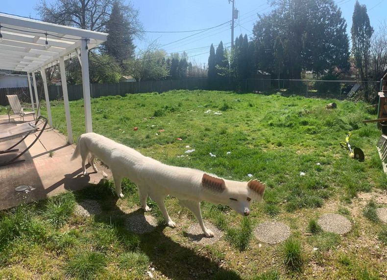 Gewoon een verzameling hilarische foto's #1533