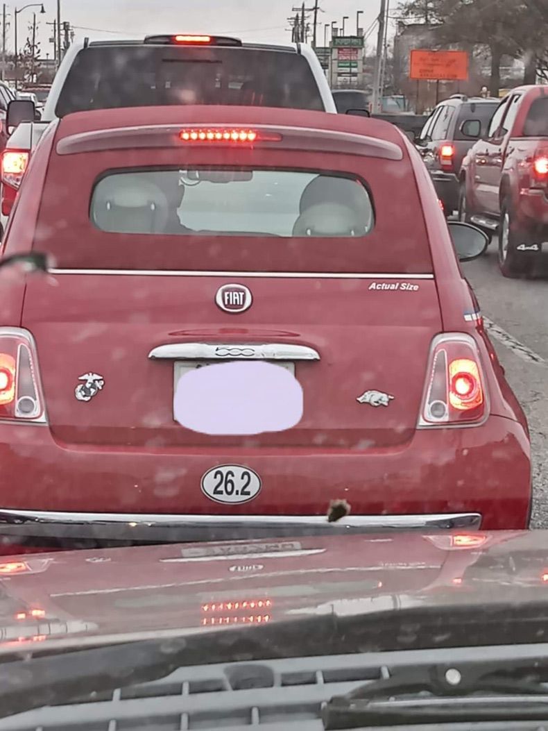 Gewoon een verzameling hilarische foto's #1533