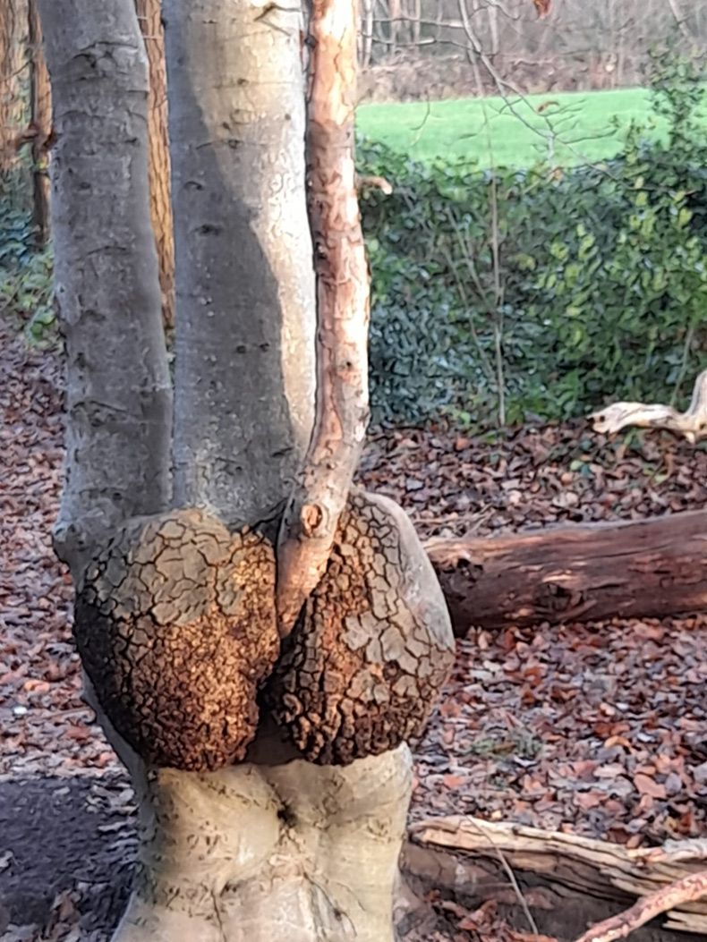 Gewoon een verzameling hilarische foto's #1533