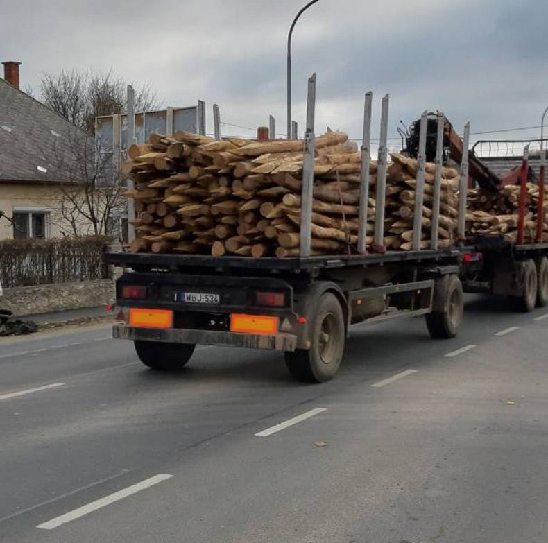 Gewoon een verzameling hilarische foto's #1534