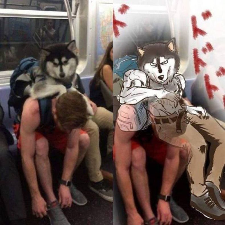 Gewoon een verzameling hilarische foto's #1534