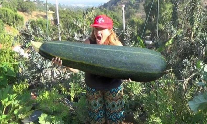 Gewoon een verzameling hilarische foto's #1534