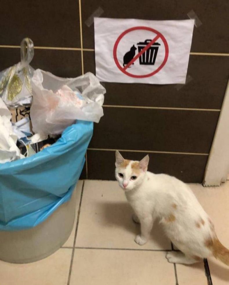 Gewoon een verzameling hilarische foto's #1534