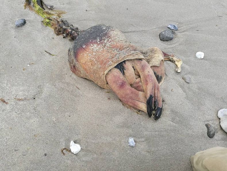 Gewoon een verzameling hilarische foto's #1534