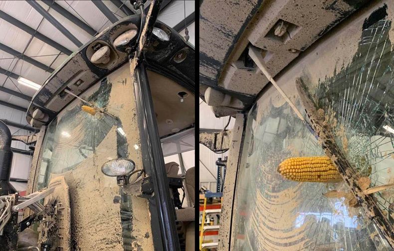 Gewoon een verzameling hilarische foto's #1534