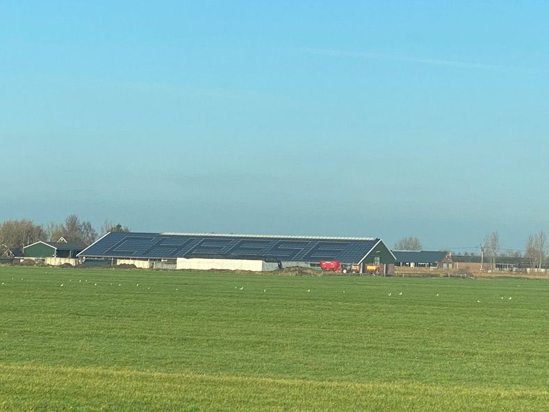 Gewoon een verzameling hilarische foto's #1534