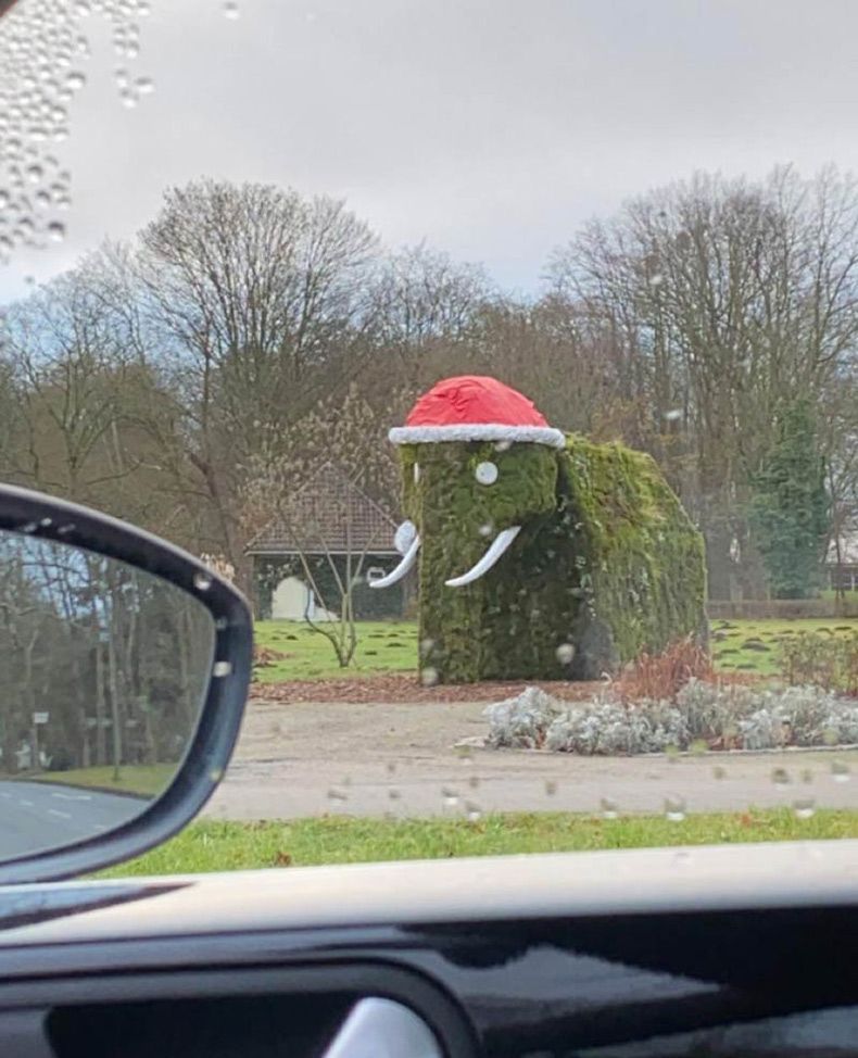 Gewoon een verzameling hilarische foto's #1535
