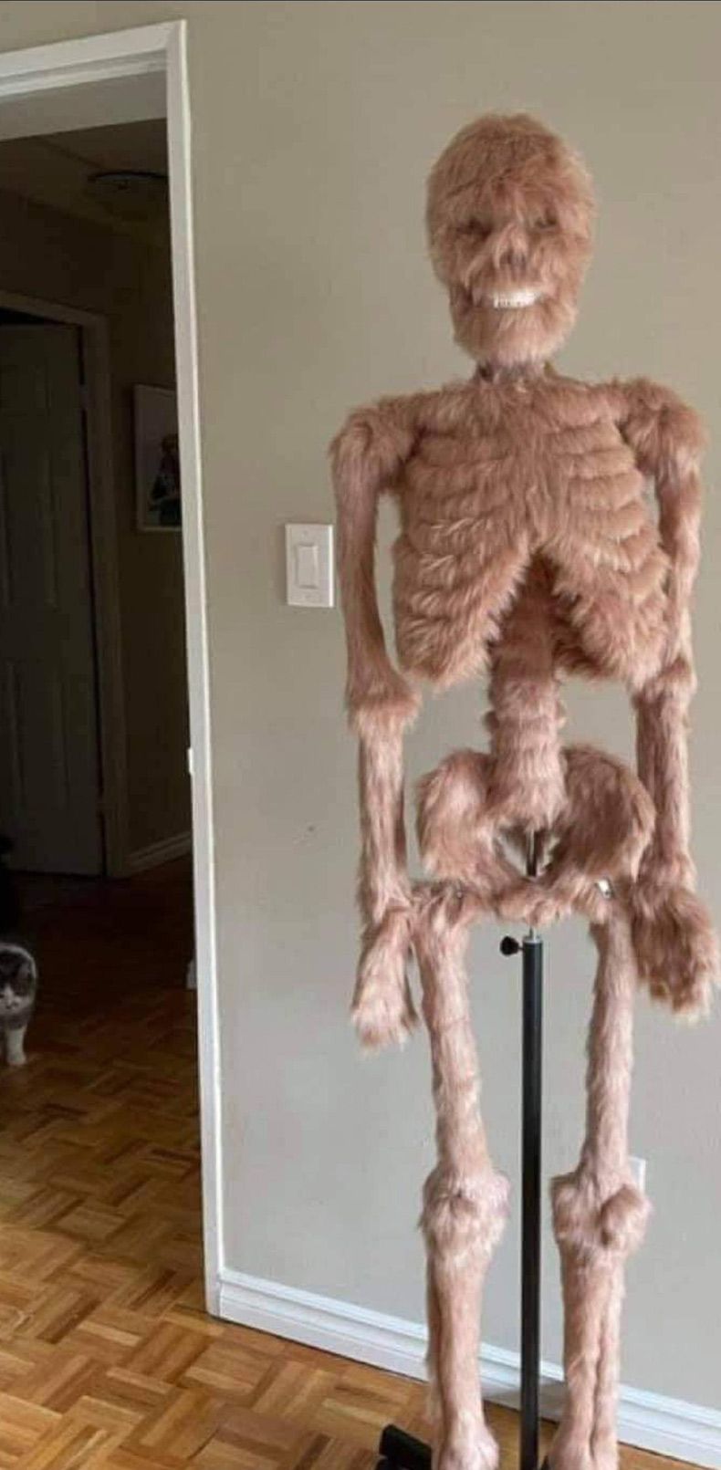 Gewoon een verzameling hilarische foto's #1535