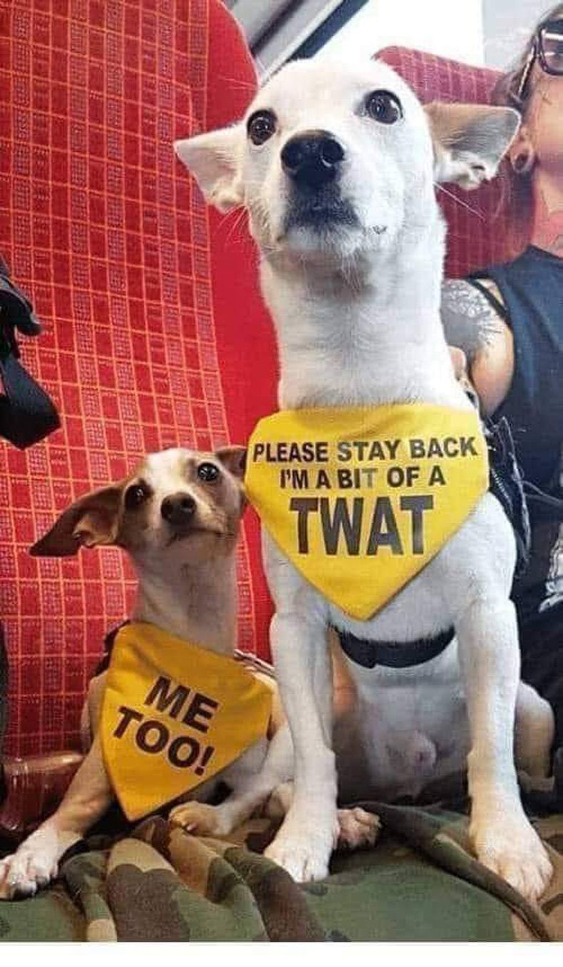 Gewoon een verzameling hilarische foto's #1535
