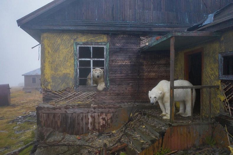 Gewoon een verzameling hilarische foto's #1535