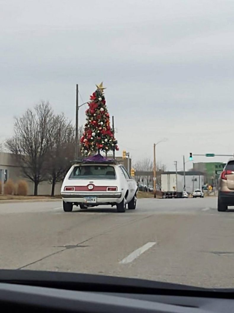 Gewoon een verzameling hilarische foto's #1538