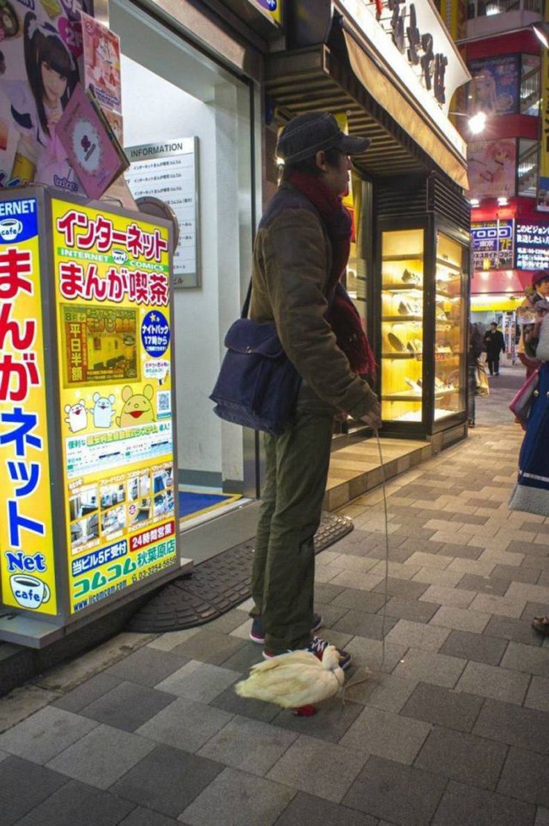 Gewoon een verzameling hilarische foto's #1538