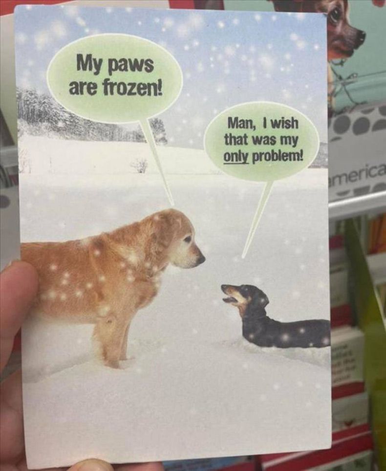 Gewoon een verzameling hilarische foto's #1538