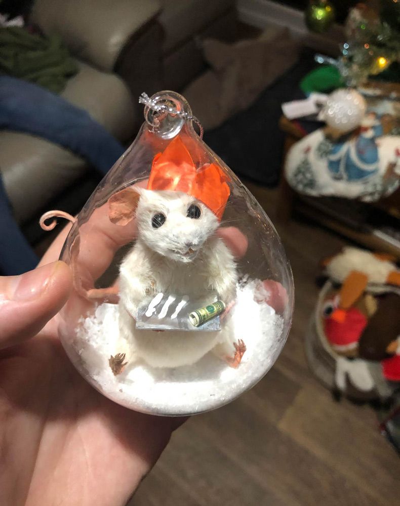 Gewoon een verzameling hilarische foto's #1538