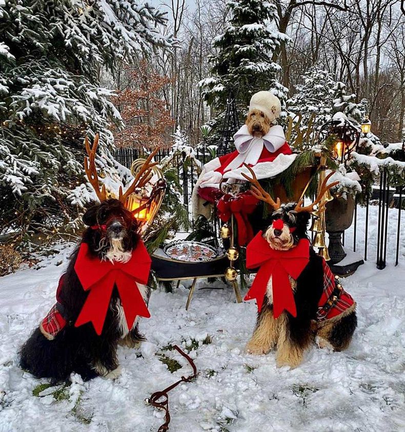 Gewoon een verzameling hilarische foto's #1538