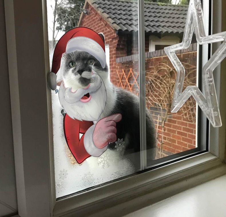 Gewoon een verzameling hilarische foto's #1538