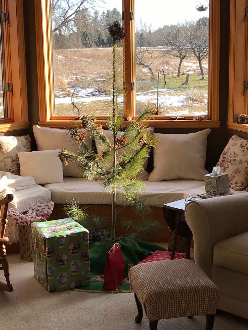 Gewoon een verzameling hilarische foto's #1538