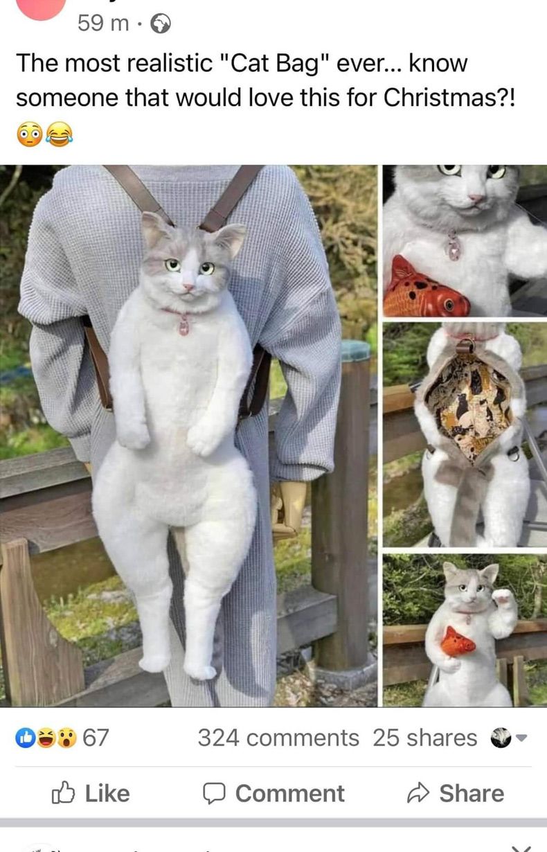 Gewoon een verzameling hilarische foto's #1538