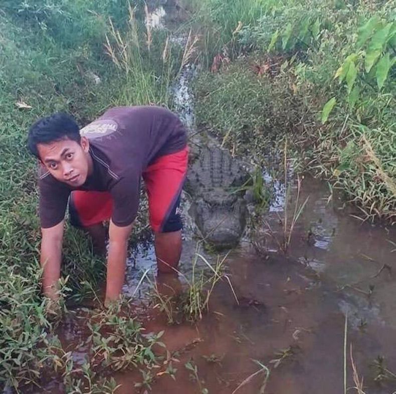 Gewoon een verzameling hilarische foto's #1539