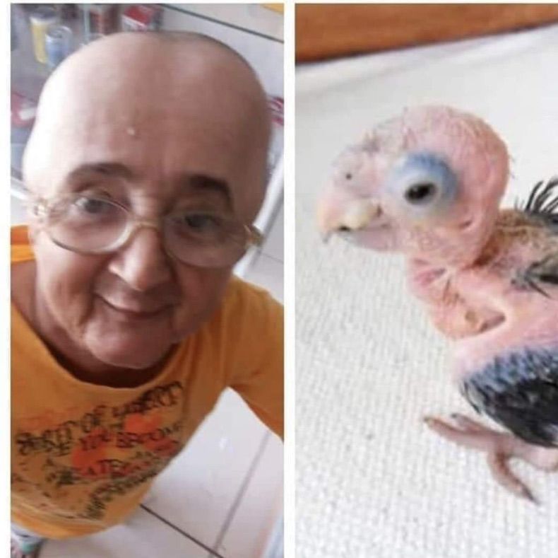 Gewoon een verzameling hilarische foto's #1539