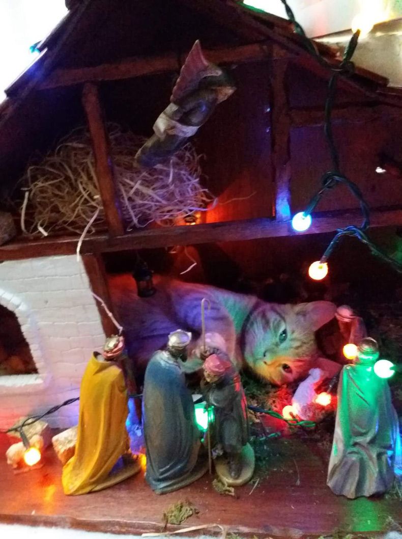 Gewoon een verzameling hilarische foto's #1539