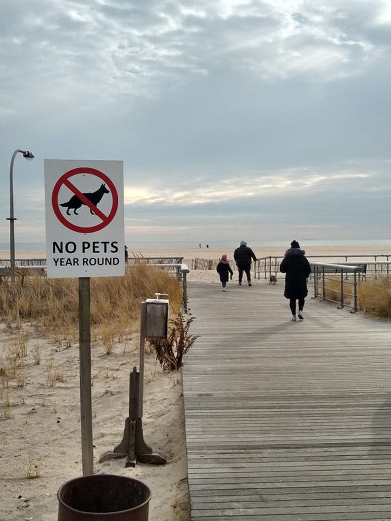 Gewoon een verzameling hilarische foto's #1539