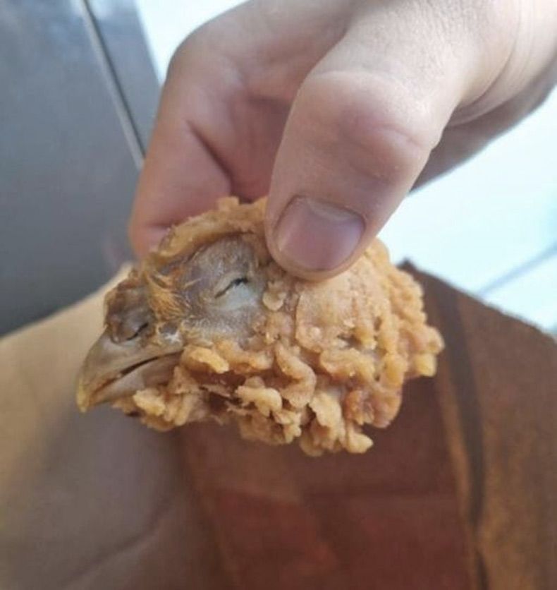 Gewoon een verzameling hilarische foto's #1539