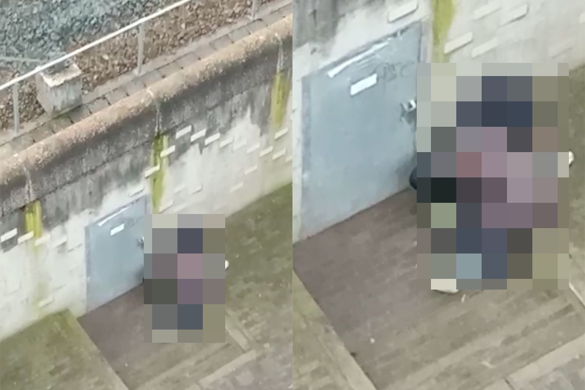 Bouwvakkers op dak van Utrecht Centraal zien bijzonder schouwspel