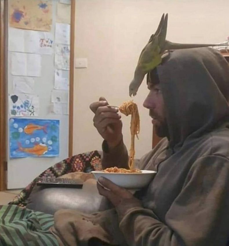 Gewoon een verzameling hilarische foto's #1544