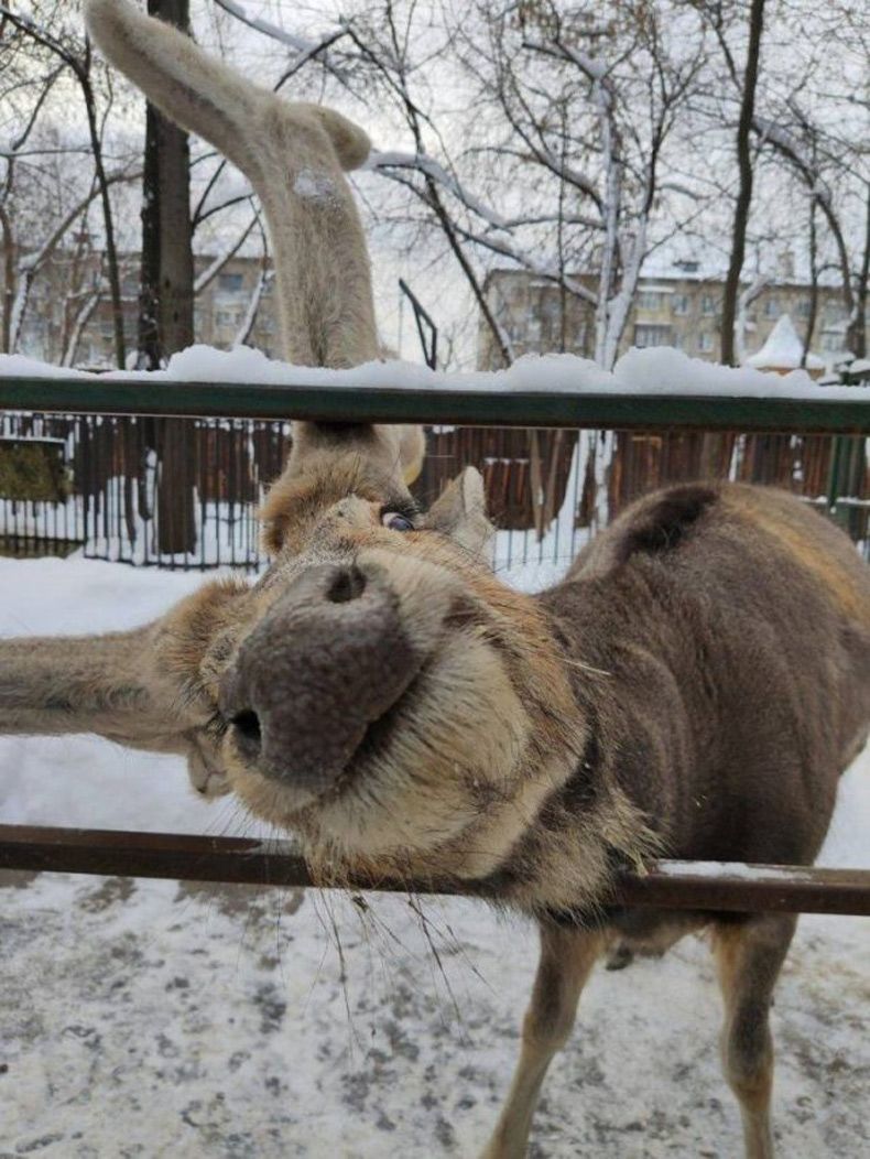 Gewoon een verzameling hilarische foto's #1544