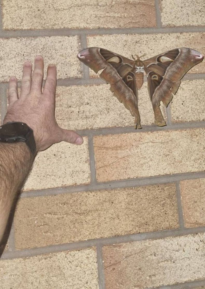 Gewoon een verzameling hilarische foto's #1544