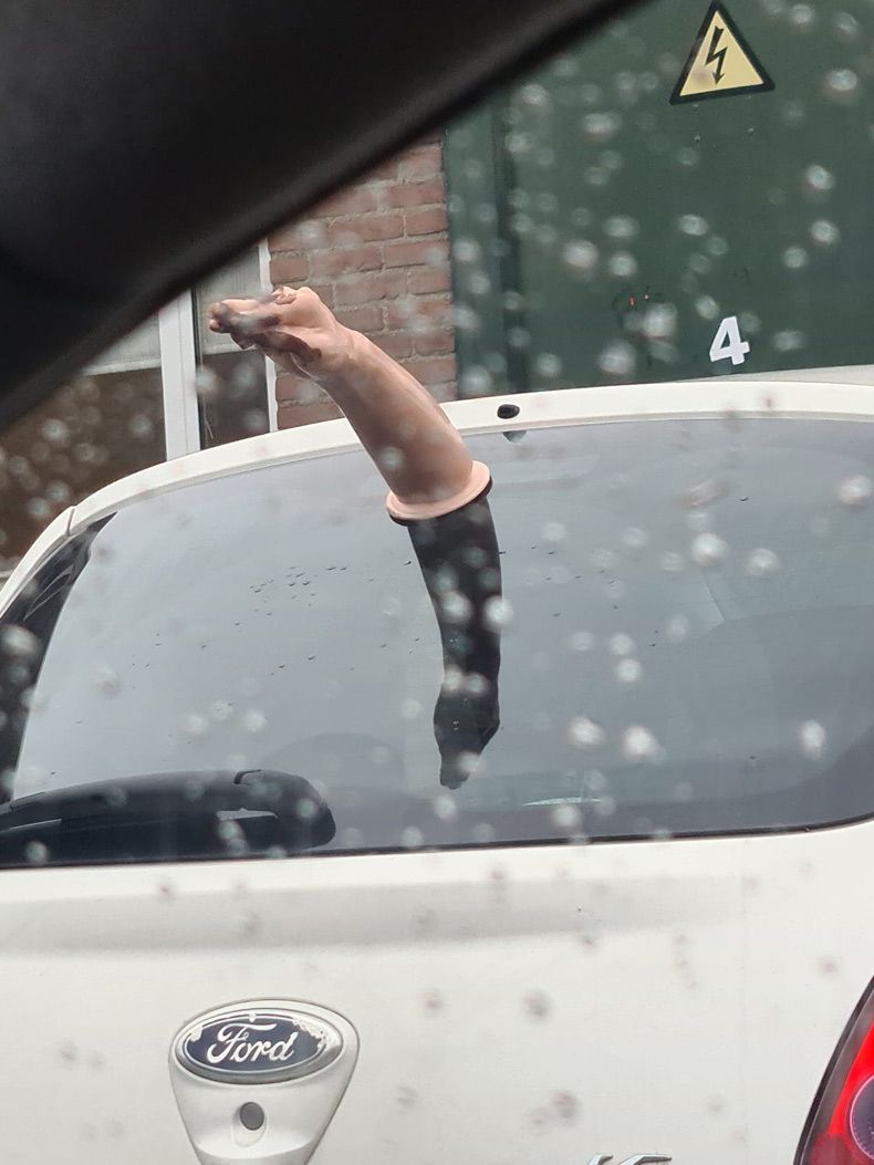 Gewoon een verzameling hilarische foto's #1544