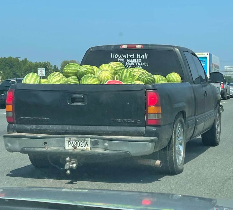 Gewoon een verzameling hilarische foto's #1545