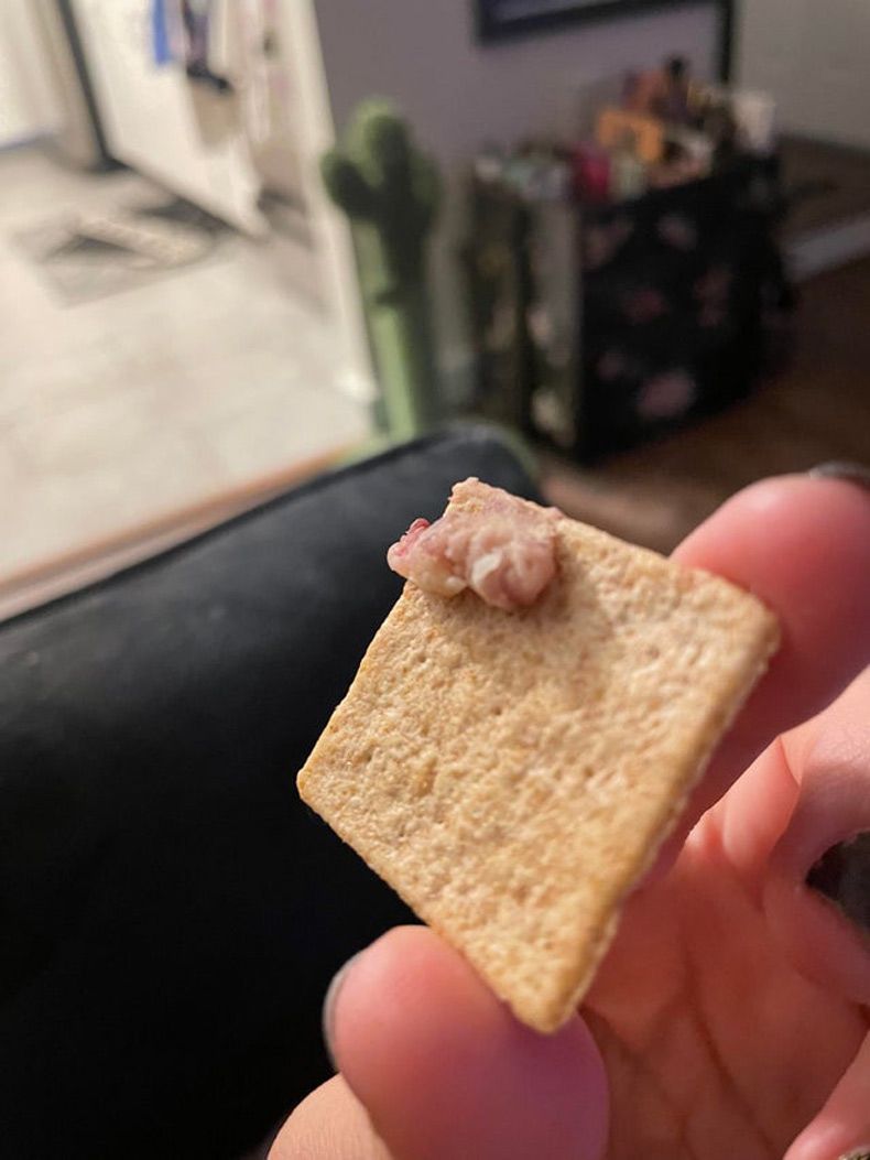 Gewoon een verzameling hilarische foto's #1545