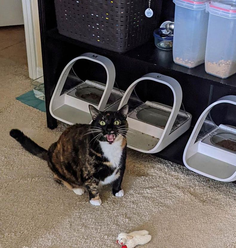 Gewoon een verzameling hilarische foto's #1545