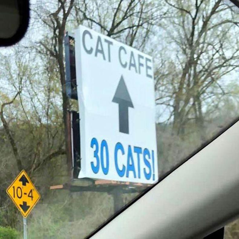 Gewoon een verzameling hilarische foto's #1545