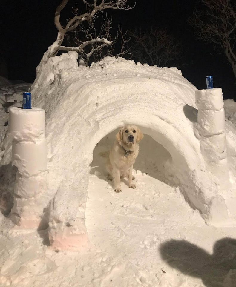 Gewoon een verzameling hilarische foto's #1545